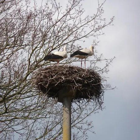 Kavaliershaus Schloss Bluecher Am Finckenersee 호텔 3*